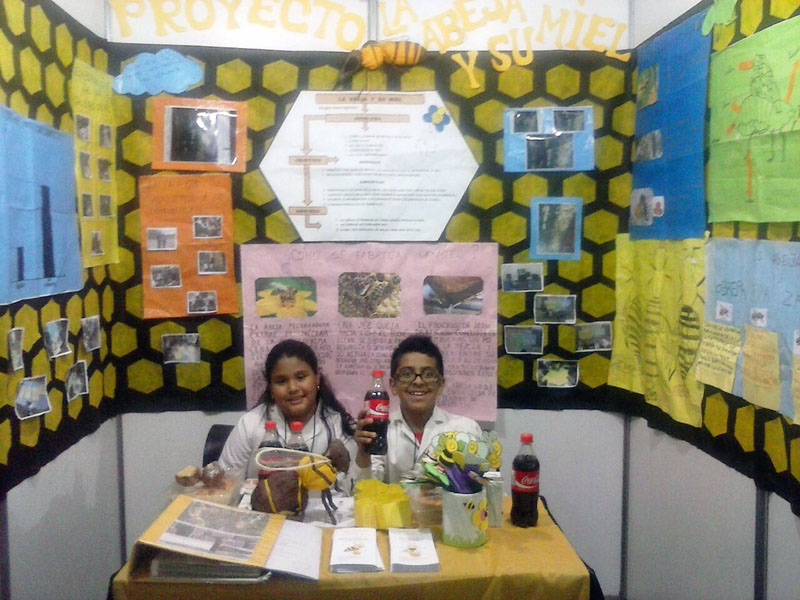 Schüler der Mariano Necochea geben Auskunft zu ihrem Projekt über Bienen an einem Stand auf der Schülermesse Tecnópolis in Buenos Aires.